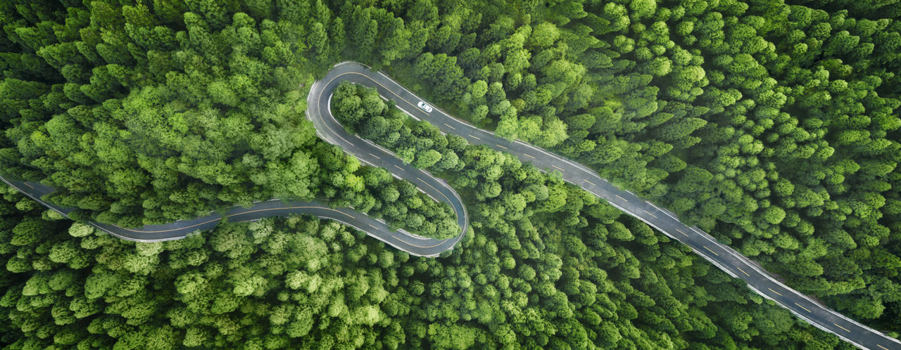 Vogelperspektive einer kurvenreichen Straße im Wald.